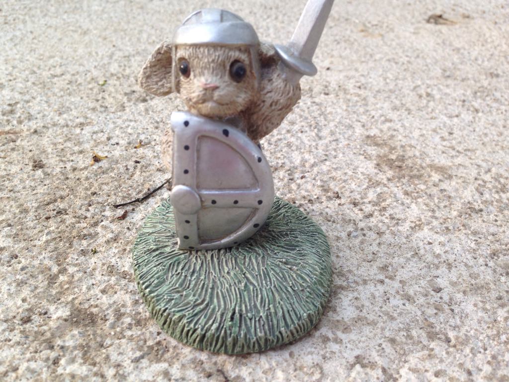 57168386_434240254011360_3390962747041644544_n