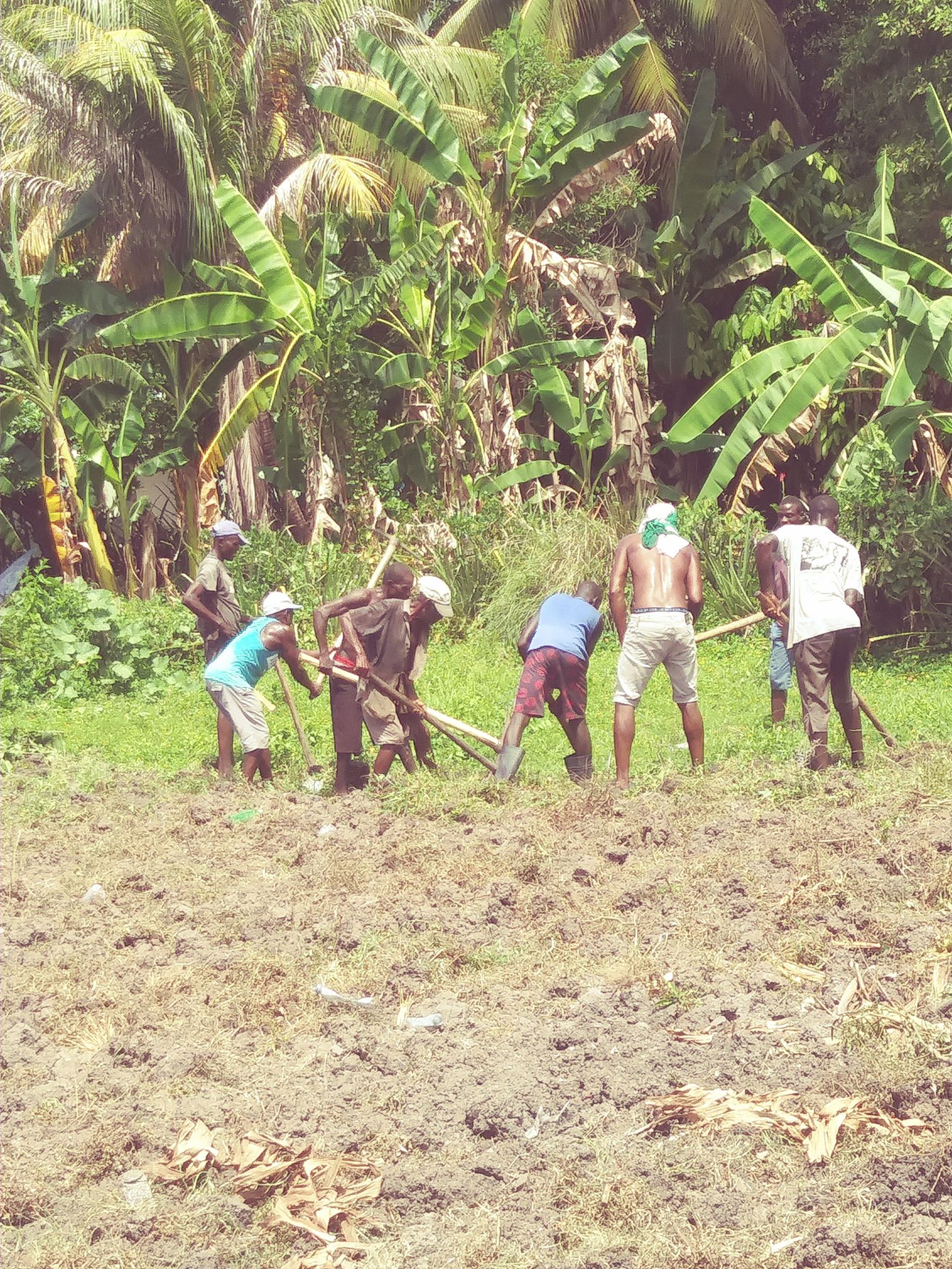 103676694_289339132222973_739406347692417788_n