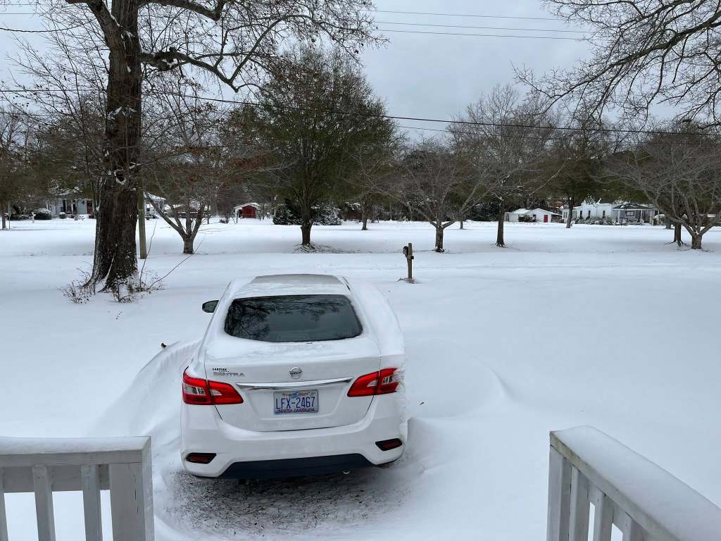 March 2026 Newsletter